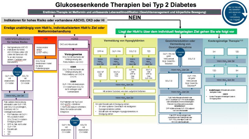 diabetes mellitus typ 2 therapie