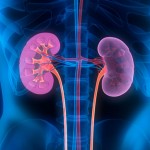 Diabetes und Nierenerkrankungen
